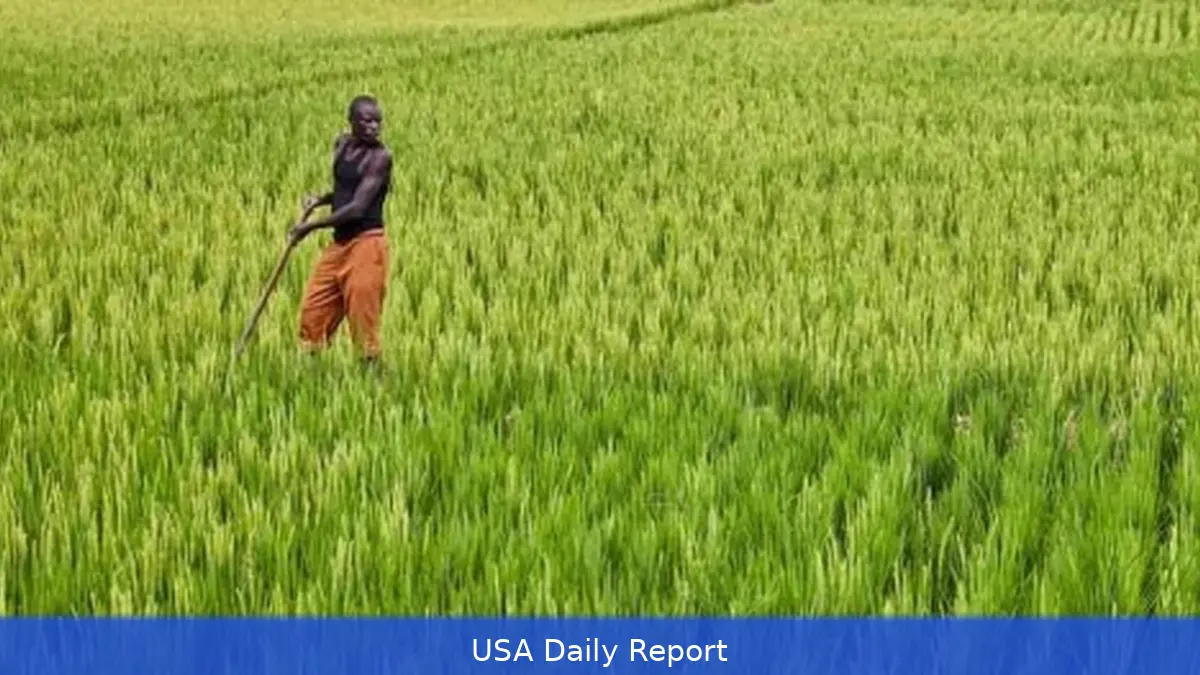 African Development Bank Flags Water as the Next Big Finance Risk — and Opportunity