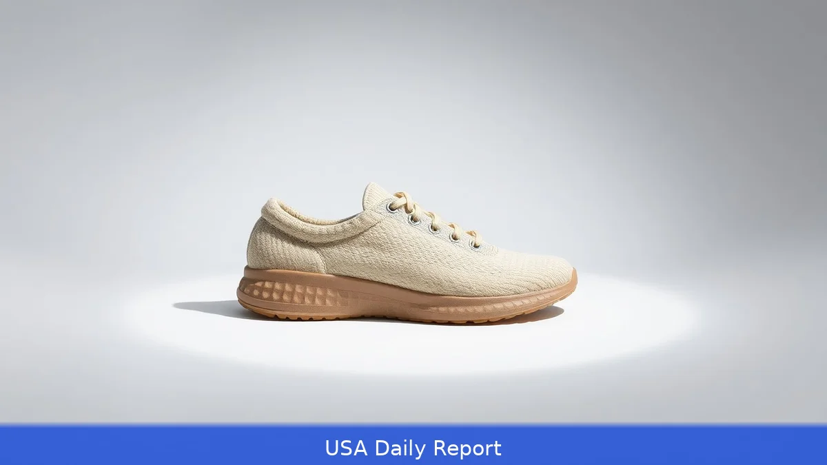 Allbirds Sells Assets for $39 Million After Plummeting from $4 Billion Valuation