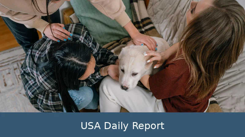 Family Fights to Recover Six Figures After Aunt Declared Incompetent by Two Doctors - Photo: Pexels