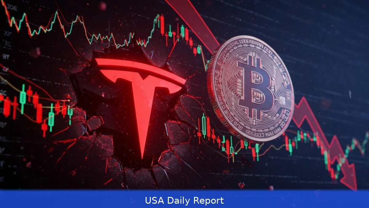 Market Sell-Off Shakes Investors: Where to Turn Next