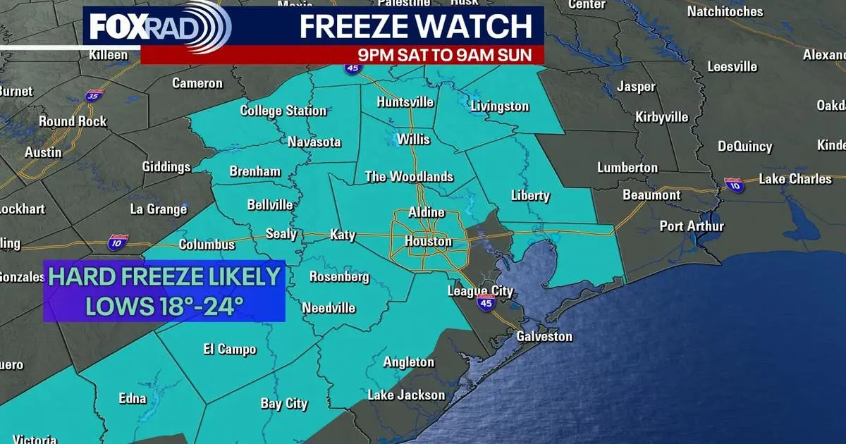 Arctic Blast Brings Freeze Watch to Houston as Virginia Teen Rescues Dog from Icy Pond