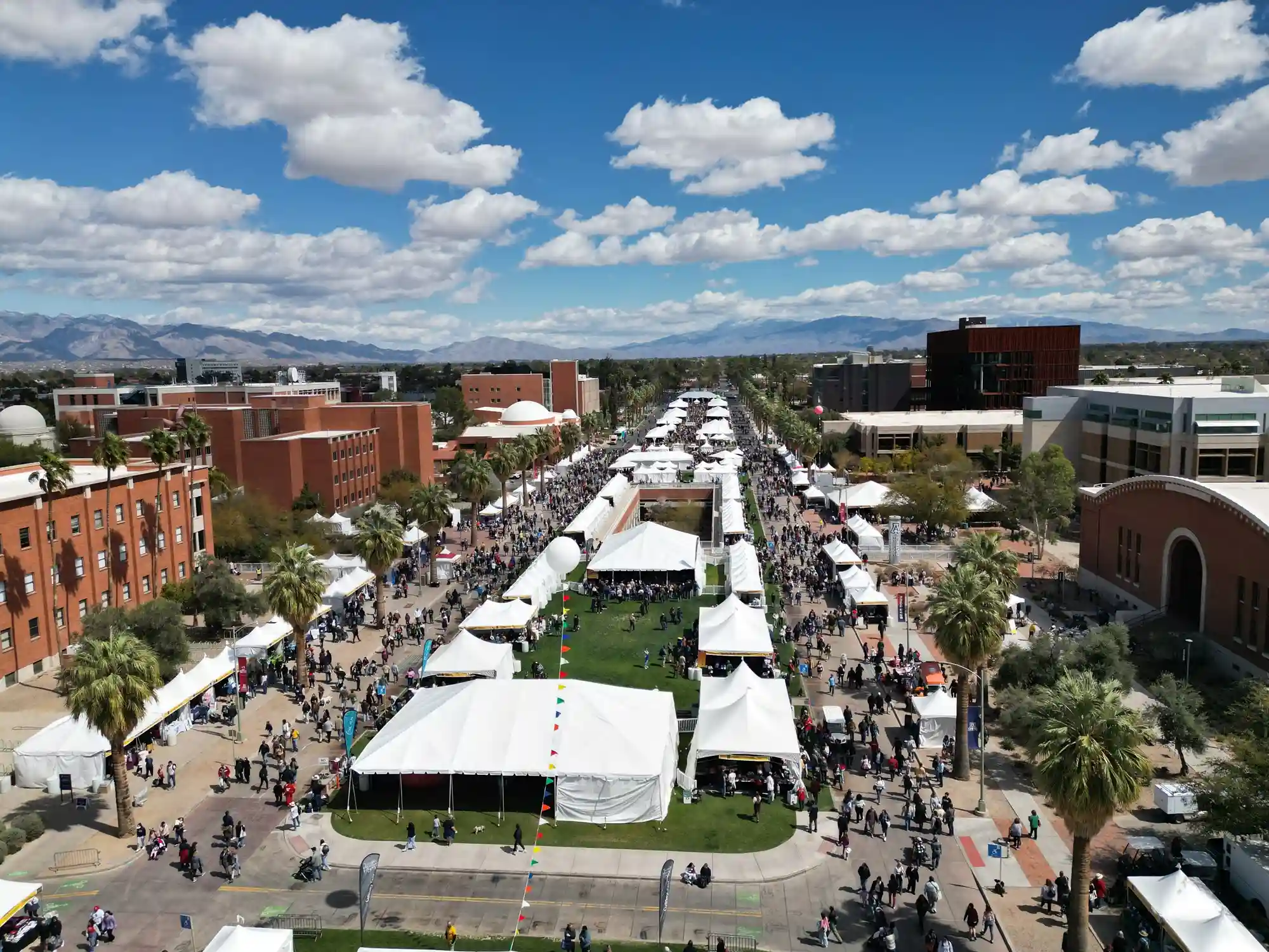 University of Arizona Buzzes with Book Festival, Celebrates 'Bear Down' Centennial Amidst Governance Tensions