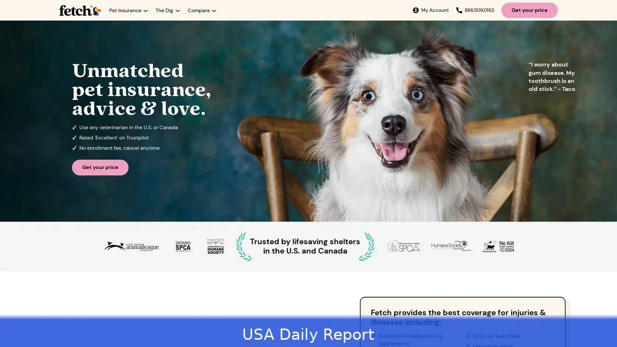 Best Pet Insurance US 2026 — Dogs, Cats and Exotic Pets Compared