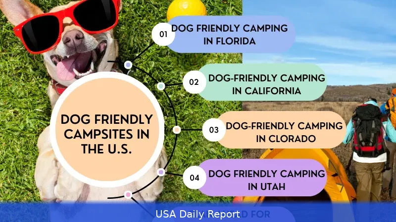 Best US Dog-Friendly Holidays 2026 — Cottages, Hotels and Campsites