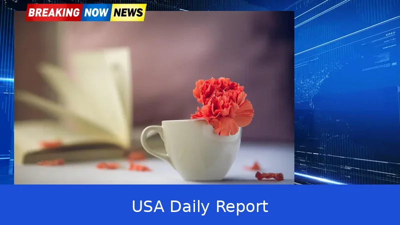 How to Get a Real ID in 2026 — What You Need, Cost and Deadline