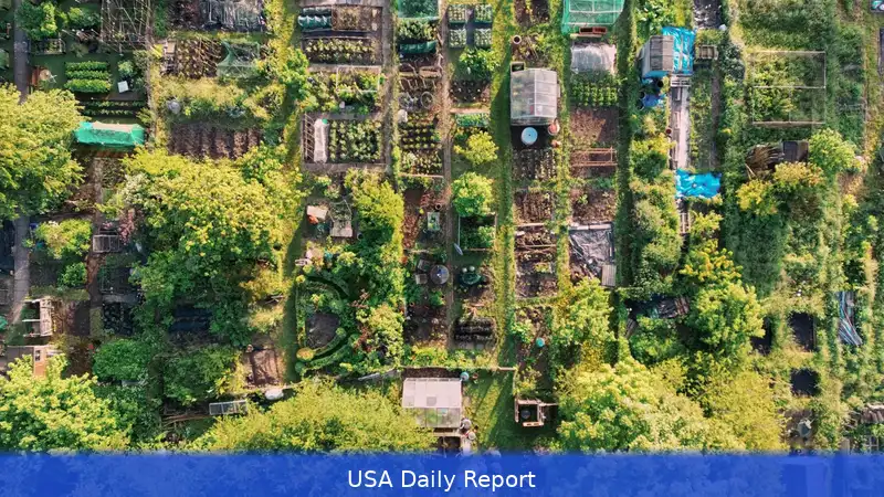 US Allotment Waiting Lists 2026 — How to Get One and What to Grow