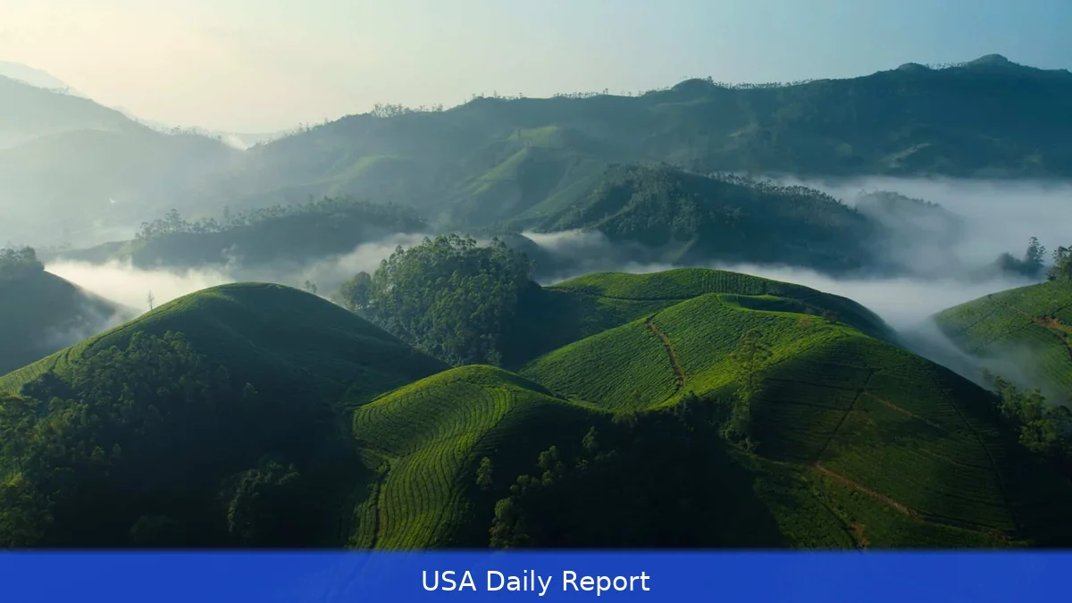 tvOS 26.4 Brings Smarter Browsing and Audio Fixes to Apple TV