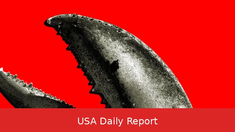 China's 'Lobster' Craze Fuels New AI Stock Push