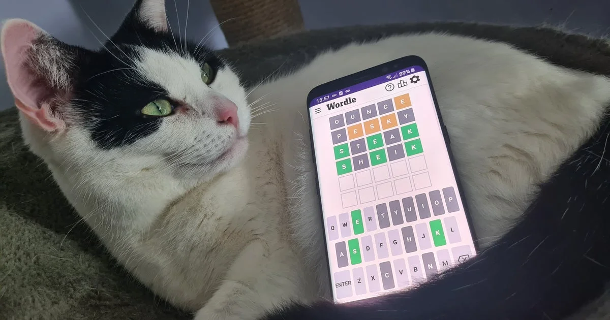 Daily Wordle Challenge: Unpacking Recent Answers and Boosting Your Win Streak