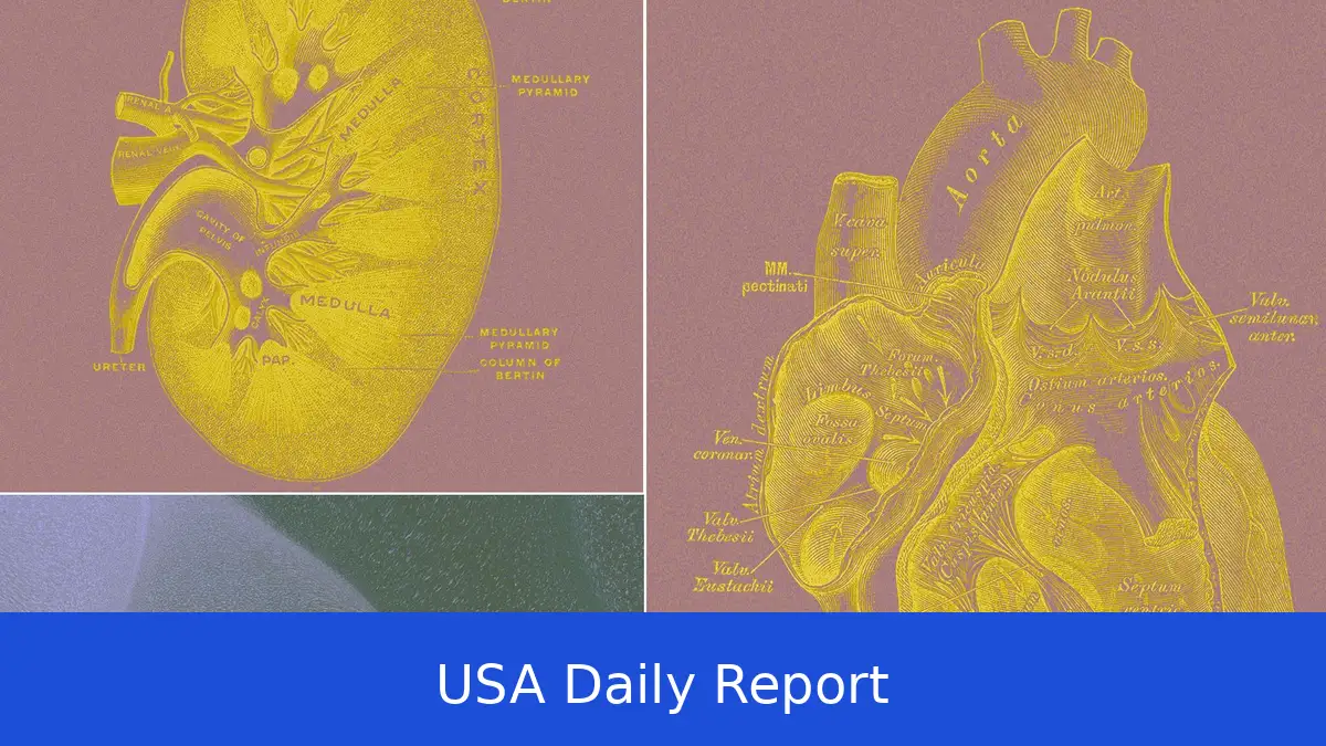 Startup Backs 'Organ Sacks' as a High-Tech Alternative to Animal Testing