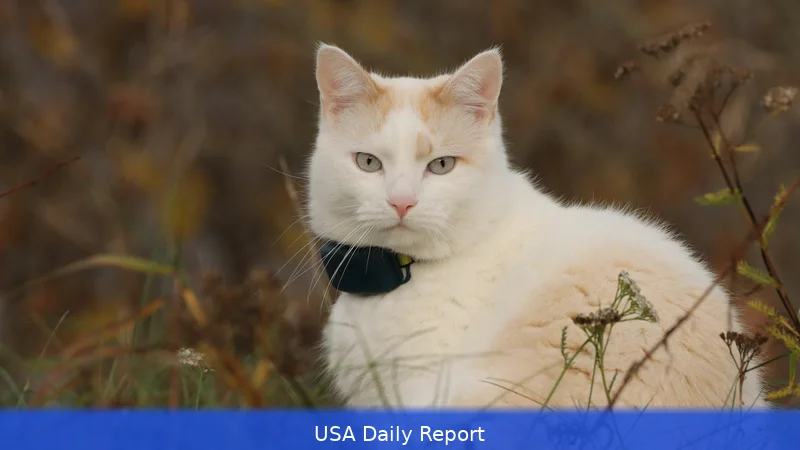 Tractive Cat Trackers: Health Data vs. Battery Life