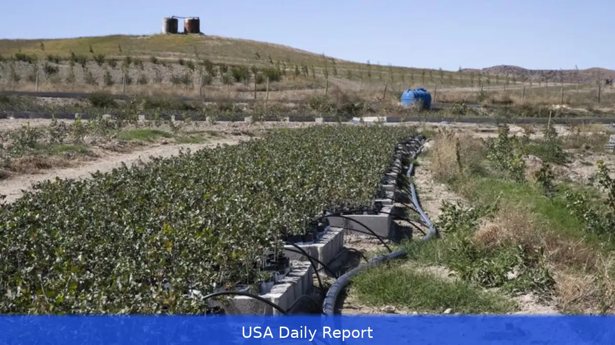 Conflict with Iran Threatens Global Food Supply Chain Amid Rising Costs