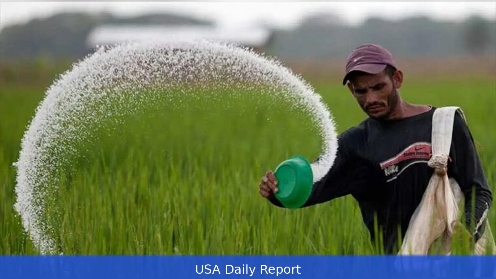 India Gets Urea Offers Near $1,000 a Ton