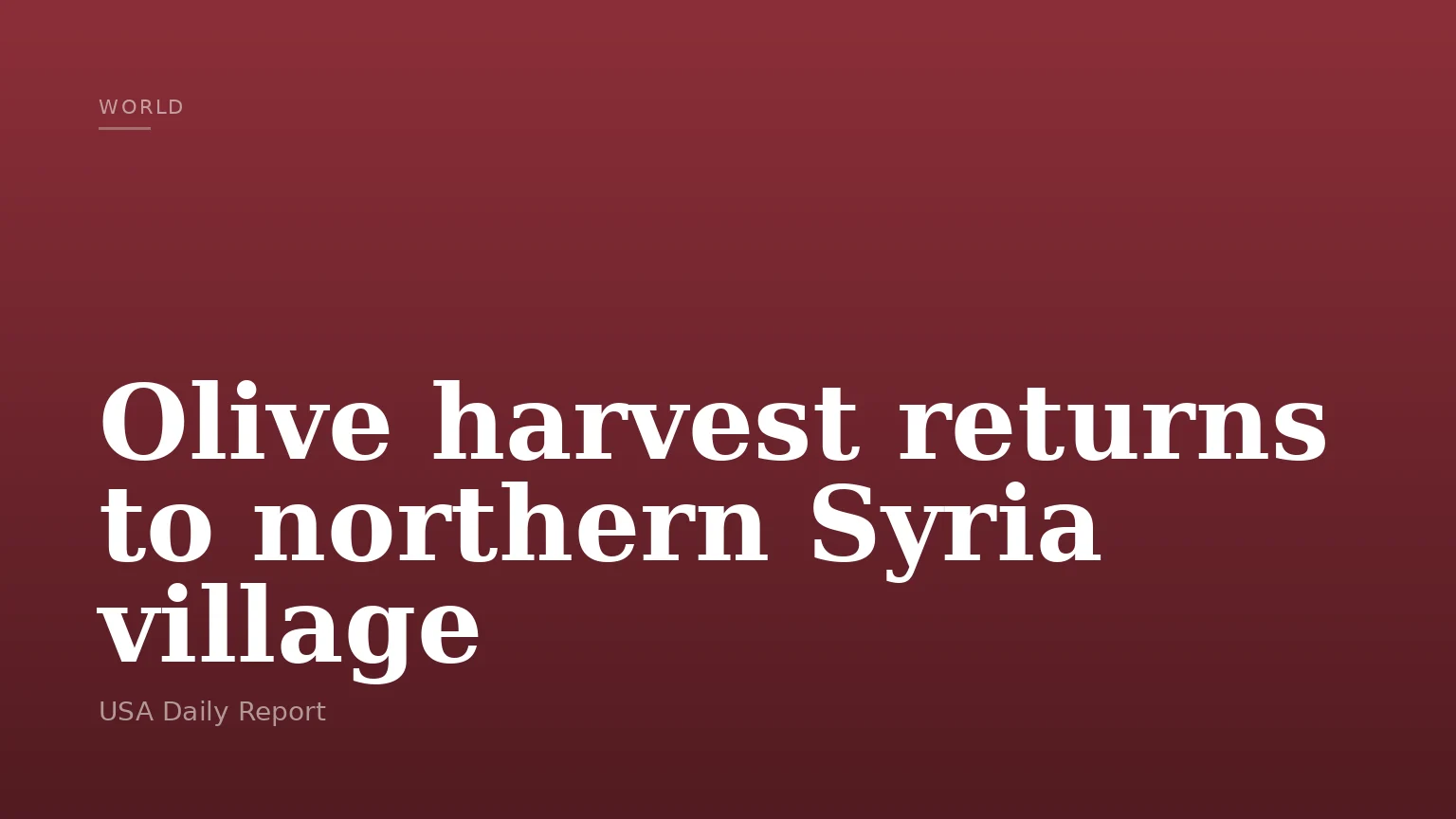 Olive harvest returns to northern Syria village