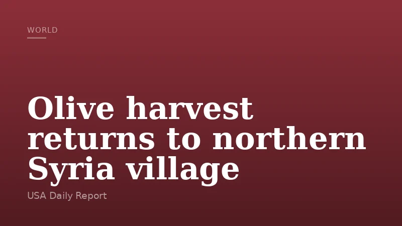 Olive harvest returns to northern Syria village