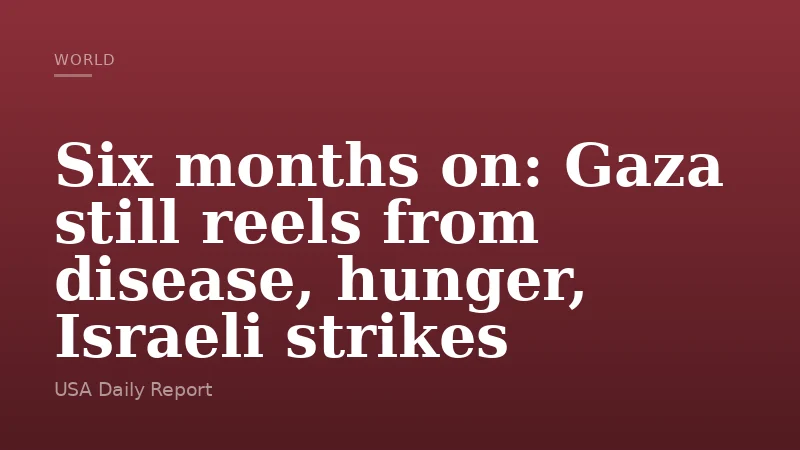 Six months on: Gaza still reels from disease, hunger, Israeli strikes