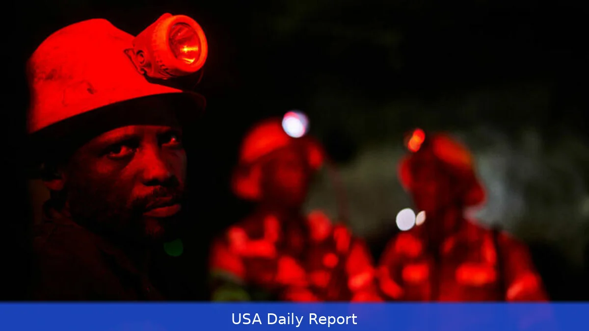 Survivor Pulled From Collapsed Gold Mine in Mexico After Nearly Two Weeks Underground